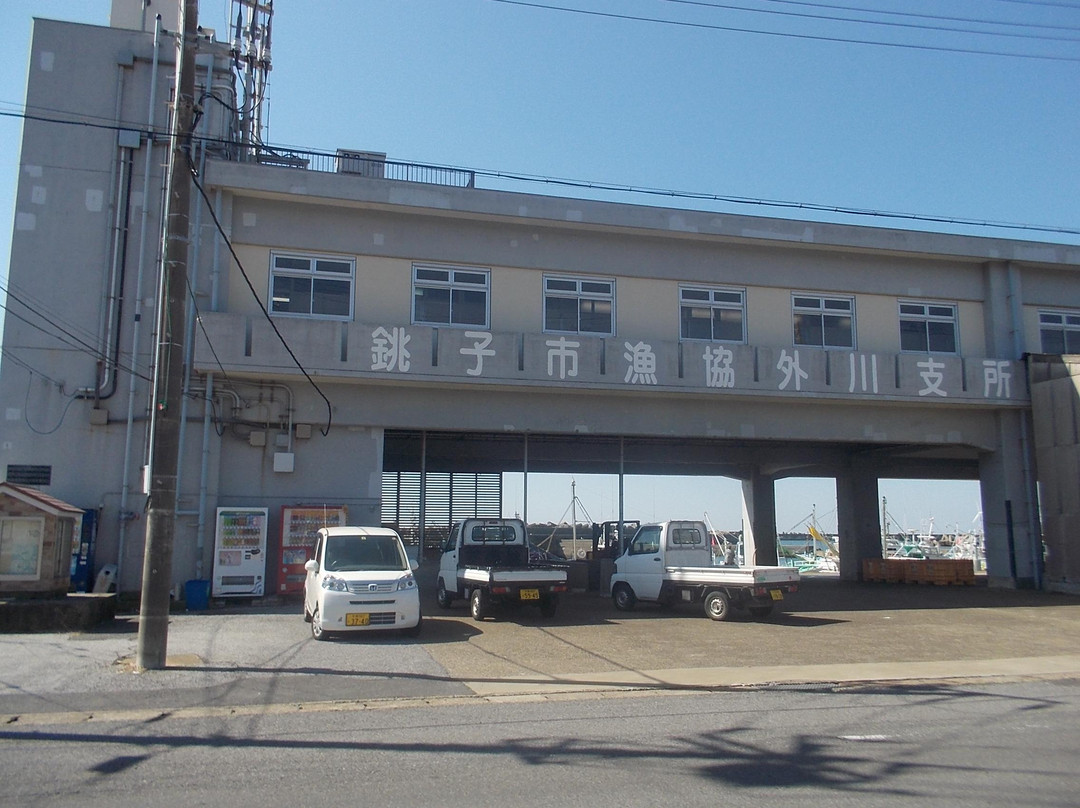 Tokawa Fishing Port-铫子市必去景点