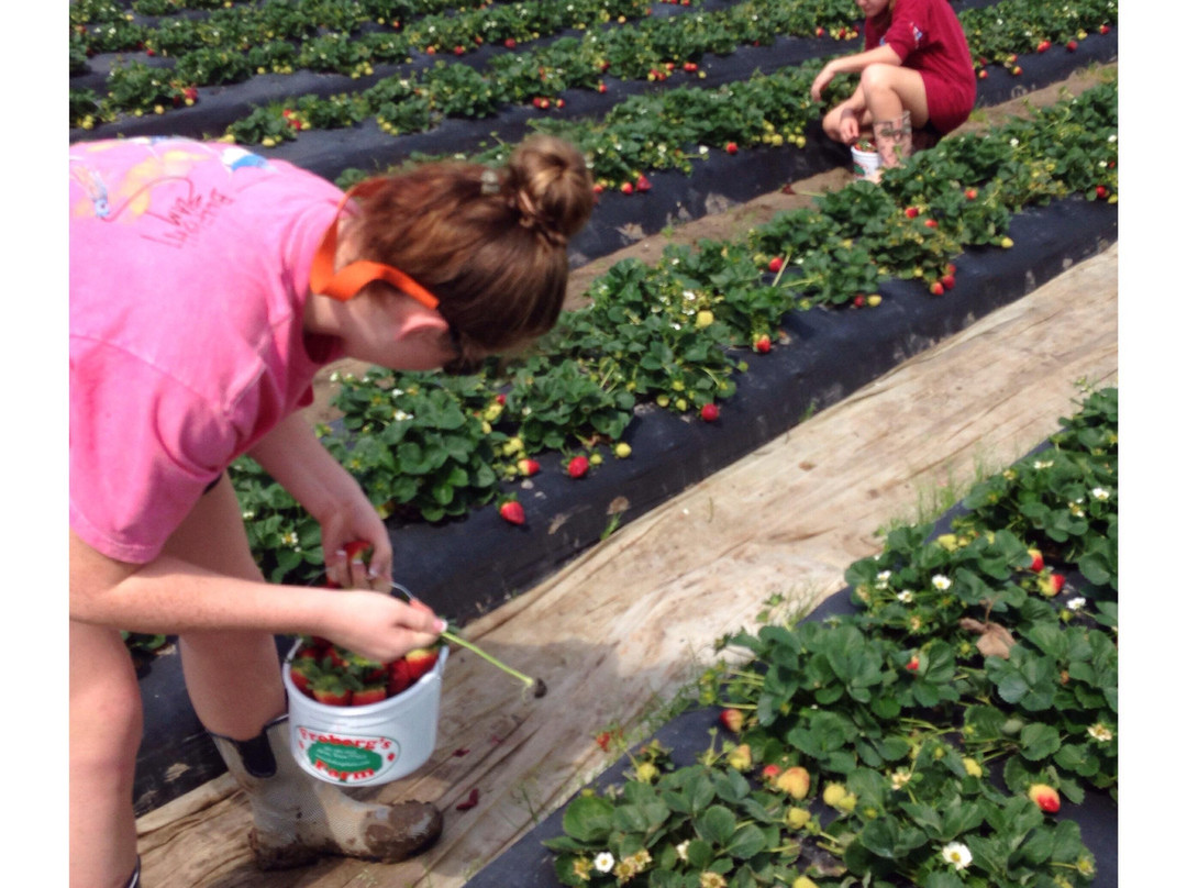 Froberg's Farm-Alvin必去景点