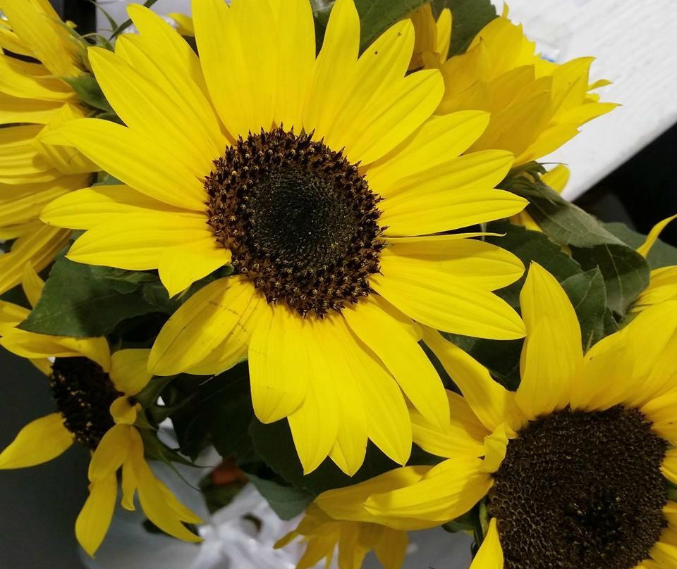 Farmer's Market-Dawson Creek必去景点