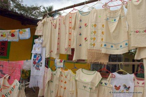 Barra de Potosi Day Tours景点图片