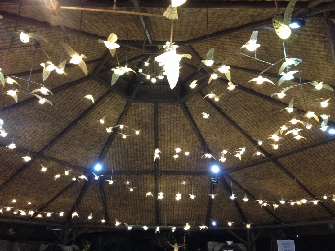 Mary Immaculate Parish - Nature Church-拉斯皮纳斯市必去景点