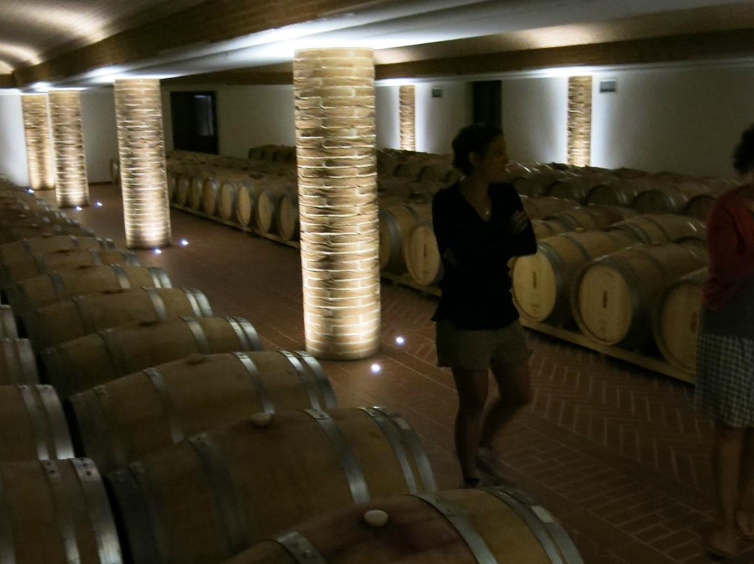 Bruno Rocca vineyard景点图片