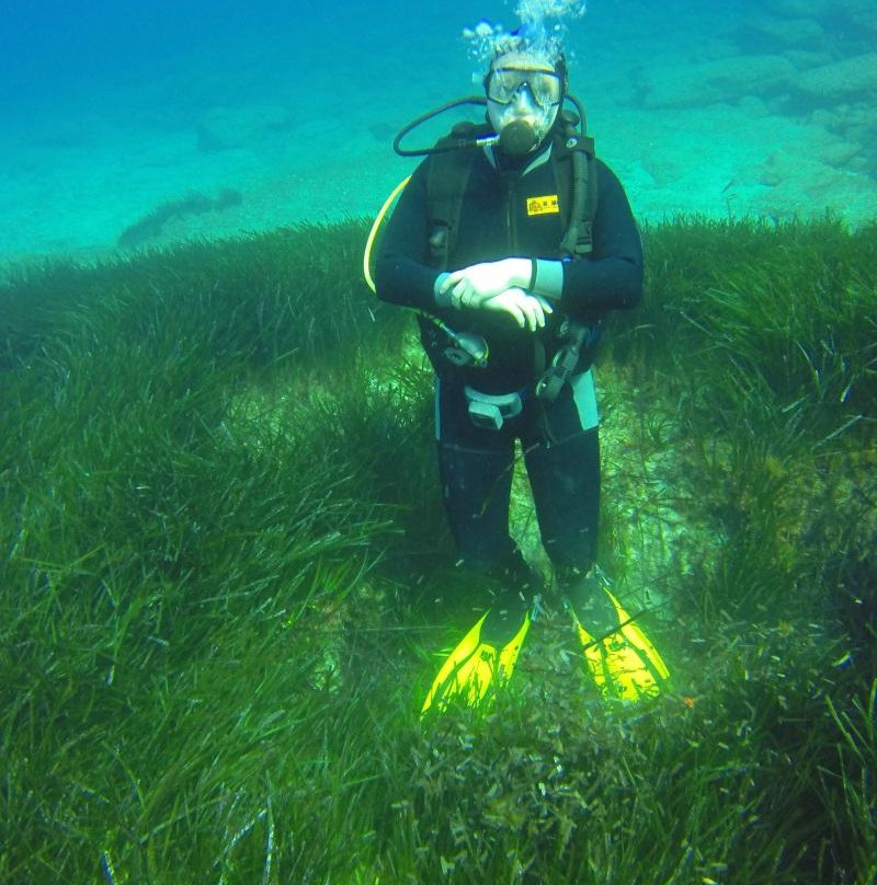 Nemo Dive Center-拉纳加必去景点