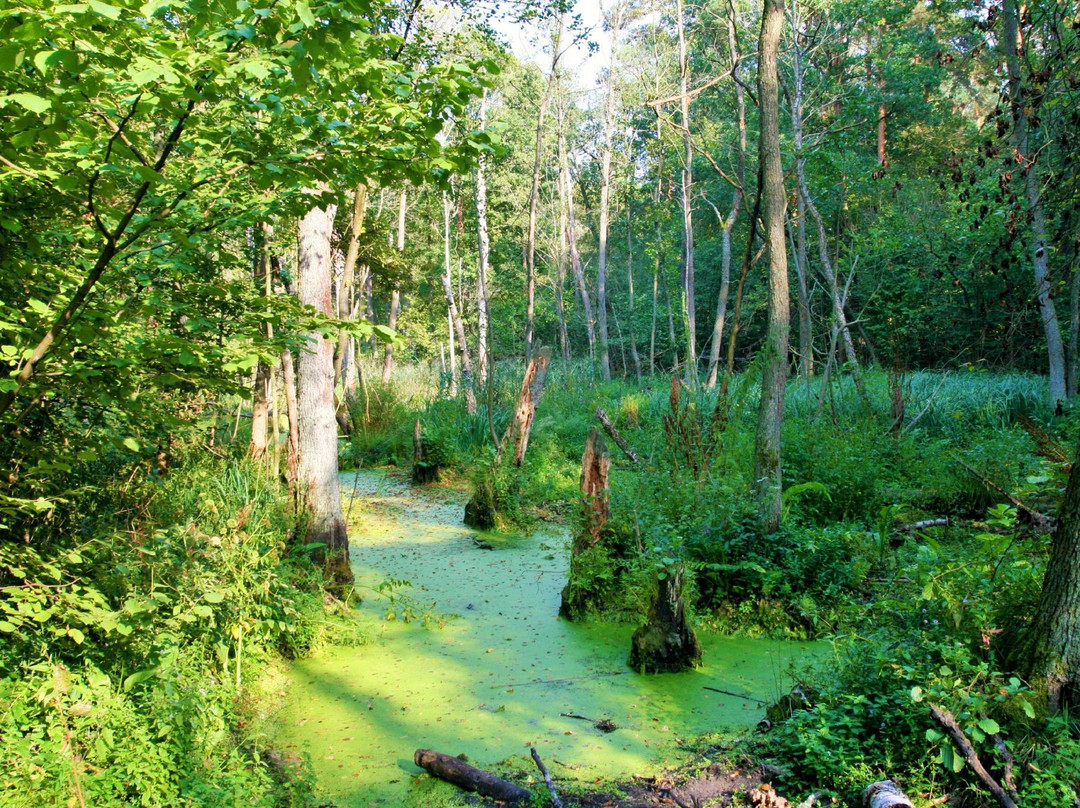Kampinoski Park Narodowy