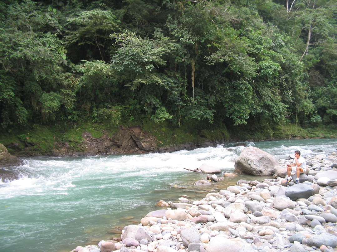 Pejibaye River景点图片