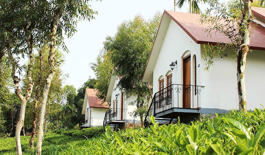 茶台韦提瑞度假村
