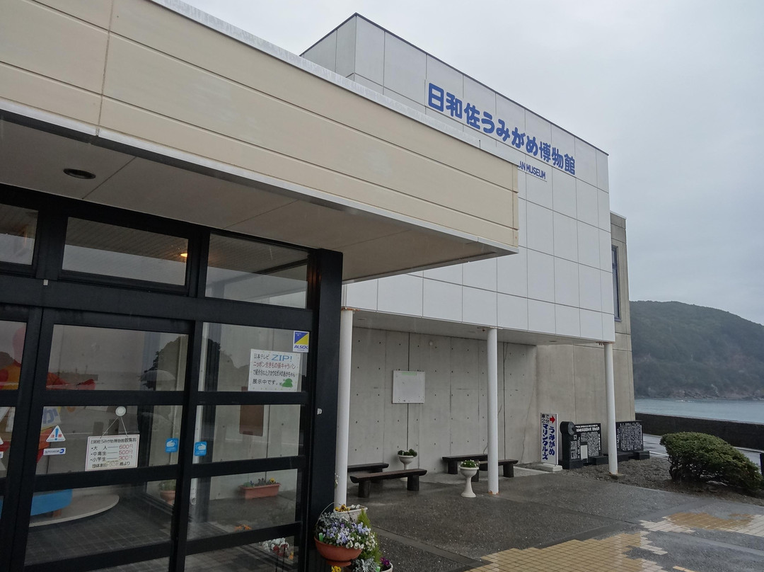 Hiwasa Chelonian Museum Caretta-美波町必去景点