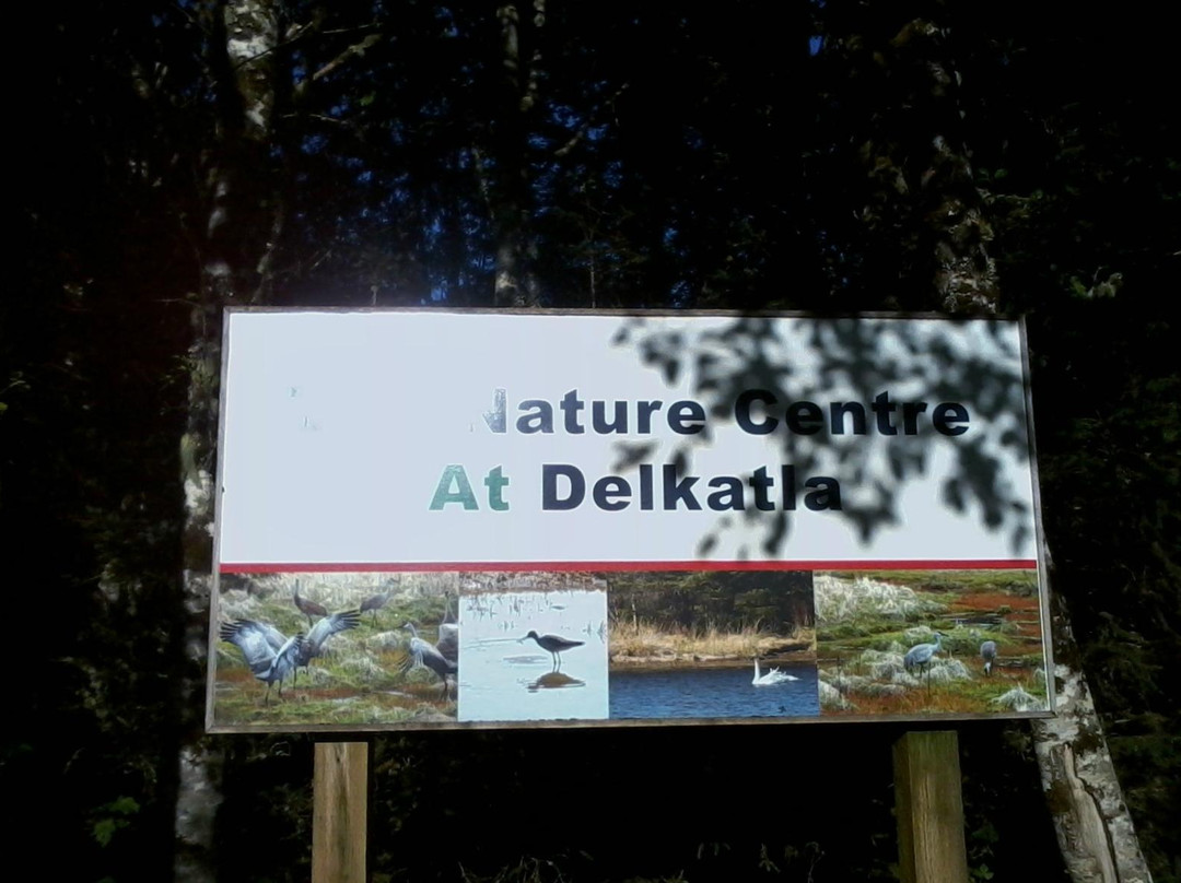 Delkatla Wildlife Sanctuary-Masset必去景点