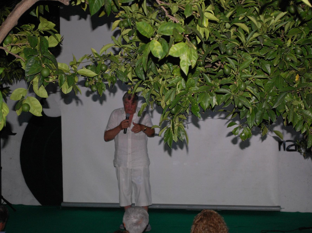 Archivio Mario Cervo-奥尔比亚必去景点