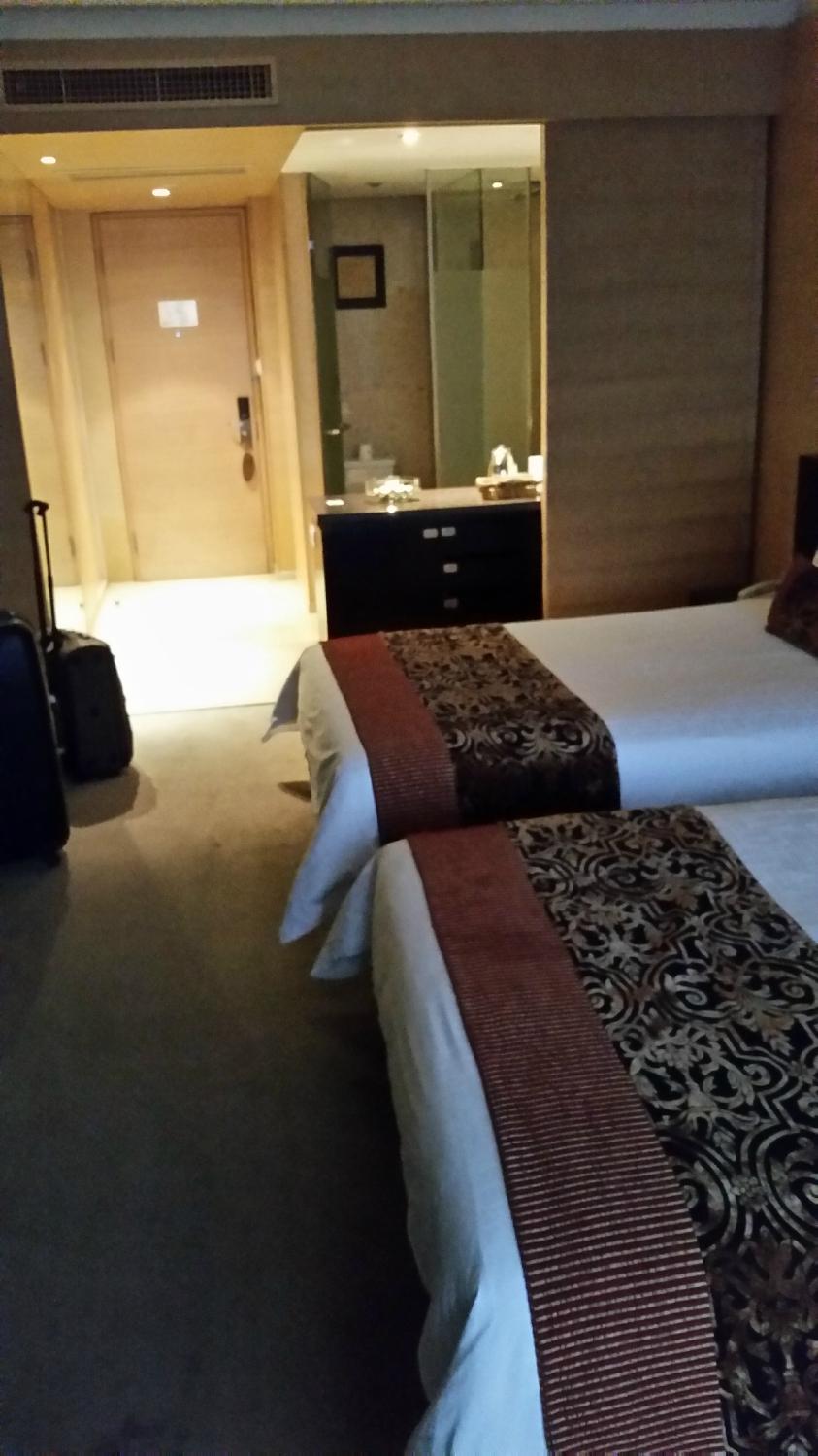 义乌巴里岛广场酒店-客卧