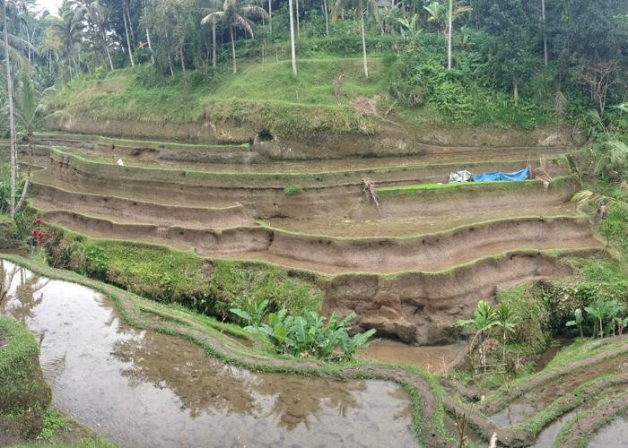 Segare Bali Tour - Private Day Tours-登巴萨必去景点