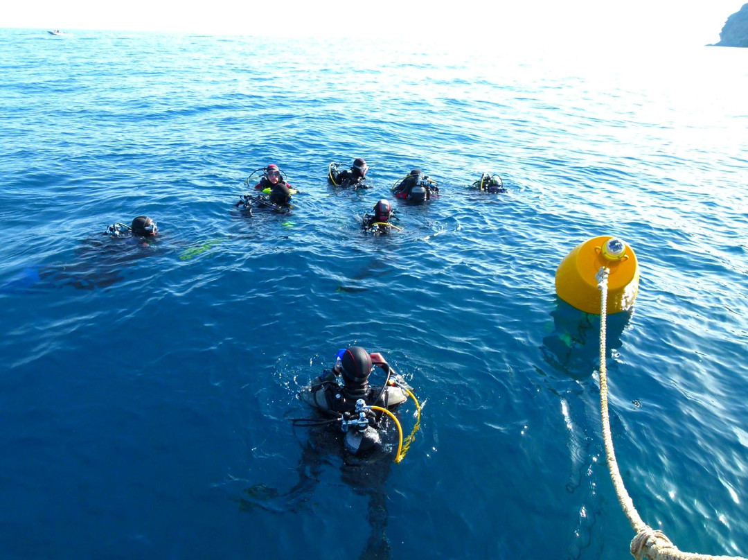 Elba Divers Naregno景点图片