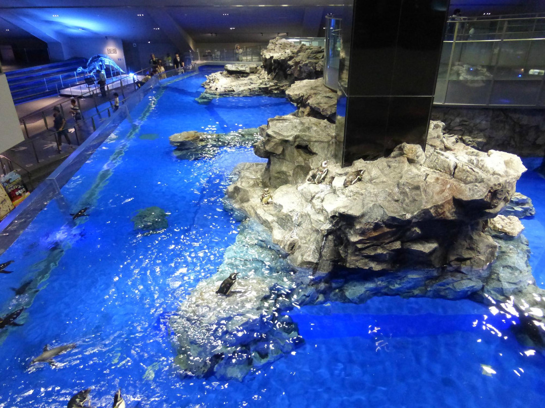 墨田水族馆