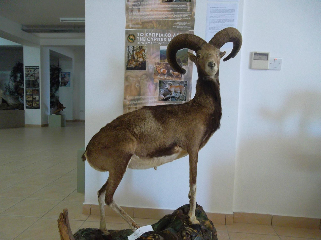 The Museum of Natural History-Pomos必去景点