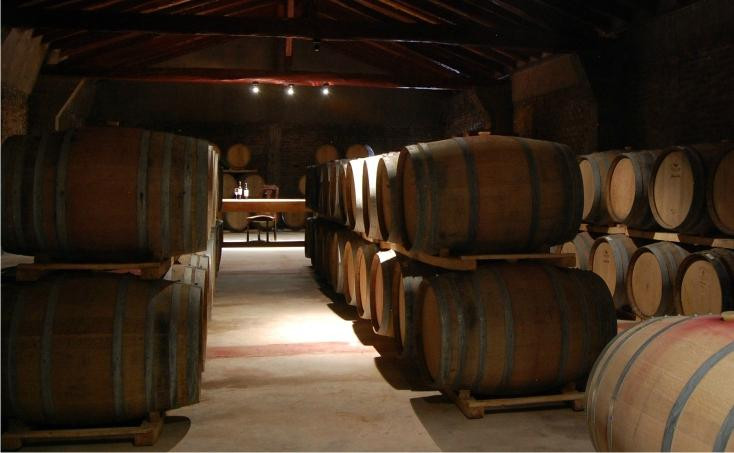 Bodega Lanzarini景点图片