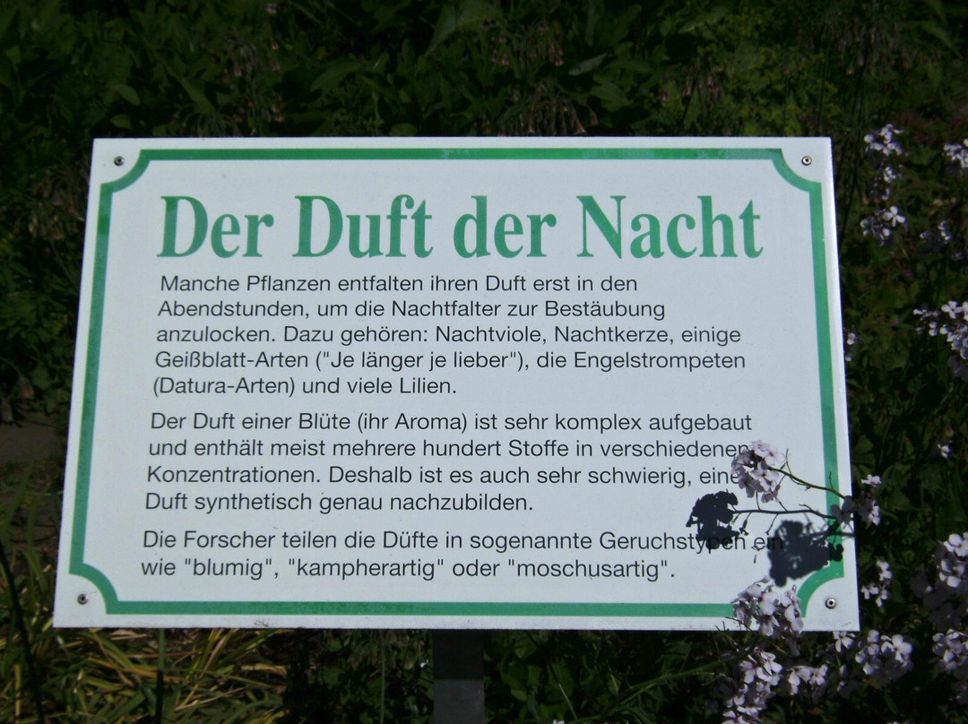 Duft- und Aromagarten景点图片