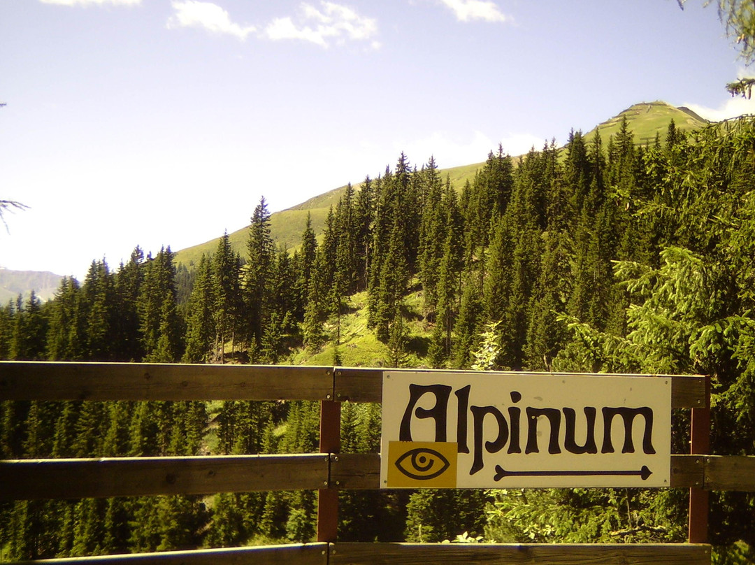 Botanical Garden Alpinum Schatzalp-Davos Platz必去景点