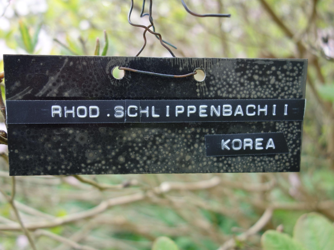 Forstbotanisk Have景点图片