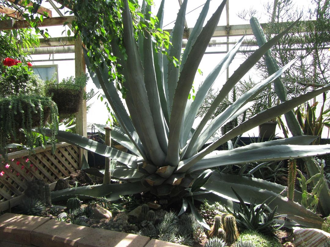 Regina Floral Conservatory-里贾纳必去景点