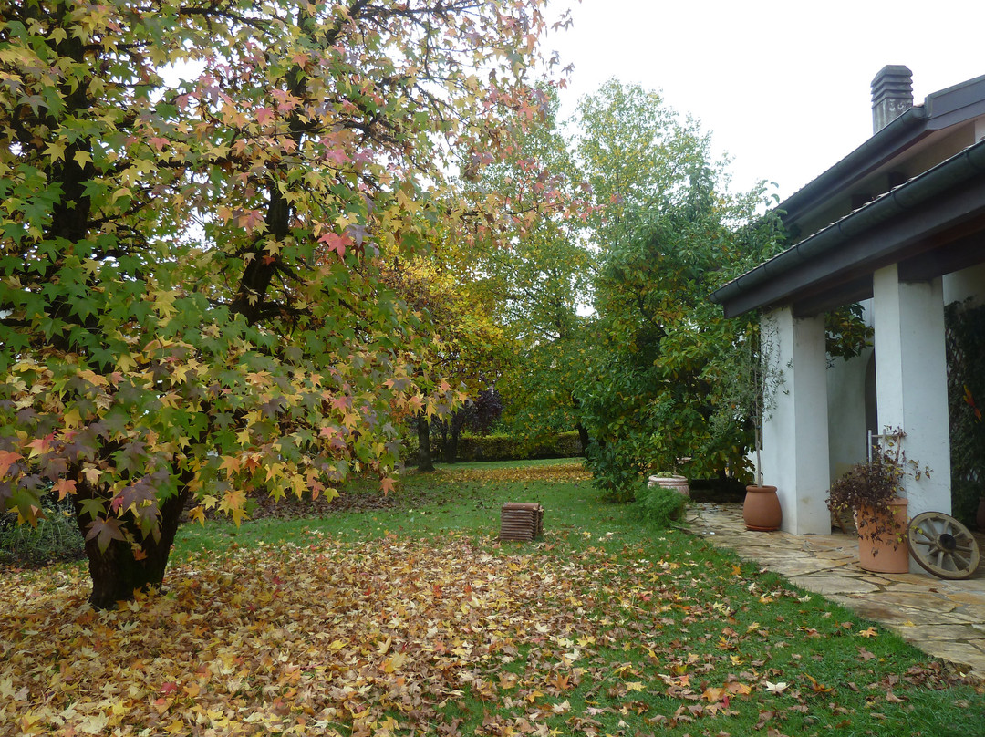 B&B Villa Rachele主图