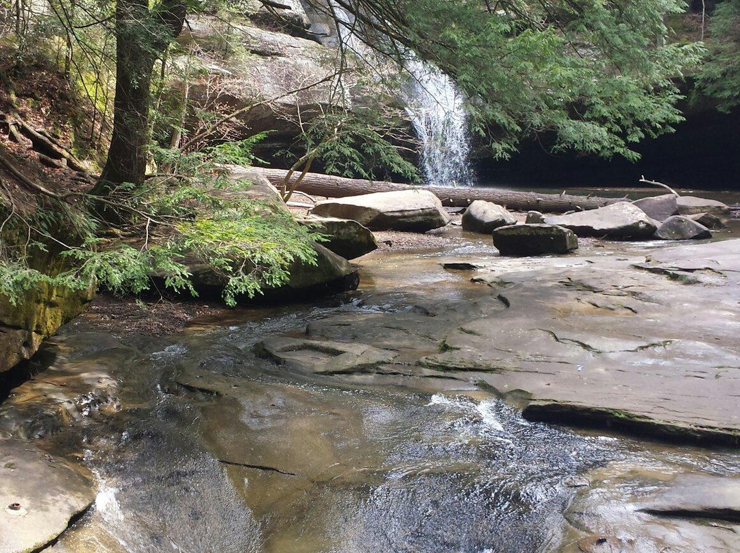 Cedar Falls Hiking Trail-洛根必去景点