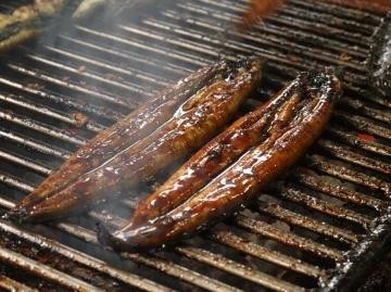 うなぎ処 玉喜屋主图