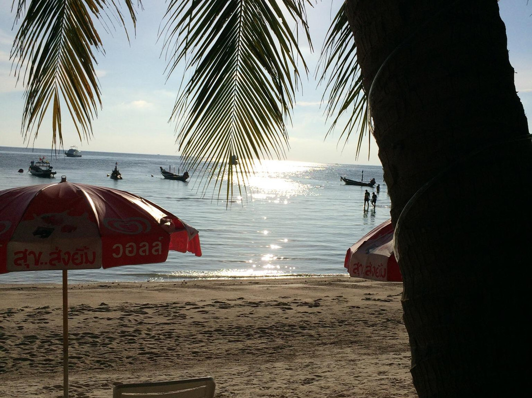 Coral Grand Divers-涛岛必去景点