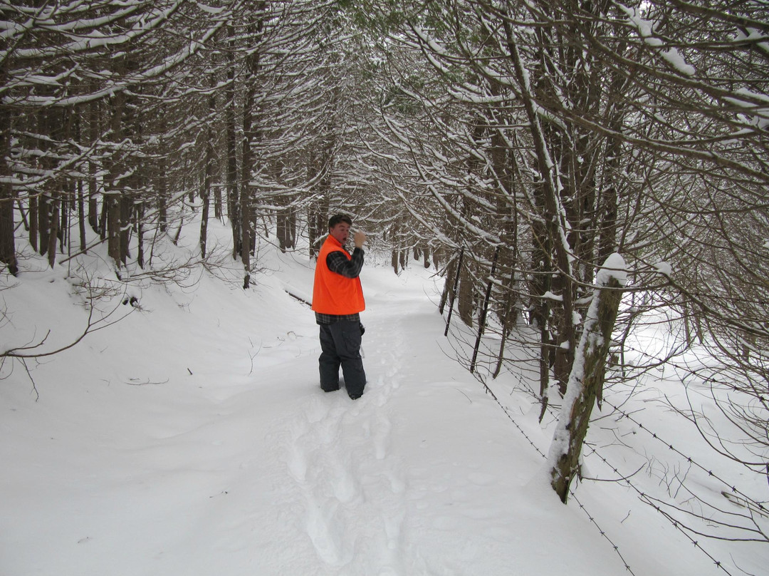 Sequel Inn Creemore主图