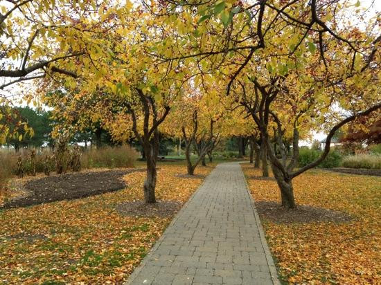 Lake Shawnee-托皮卡必去景点