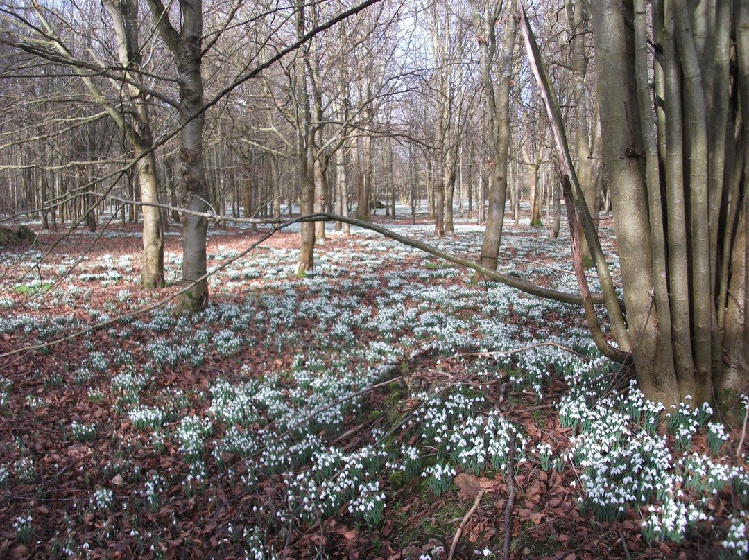 Welford Park-Wickham必去景点