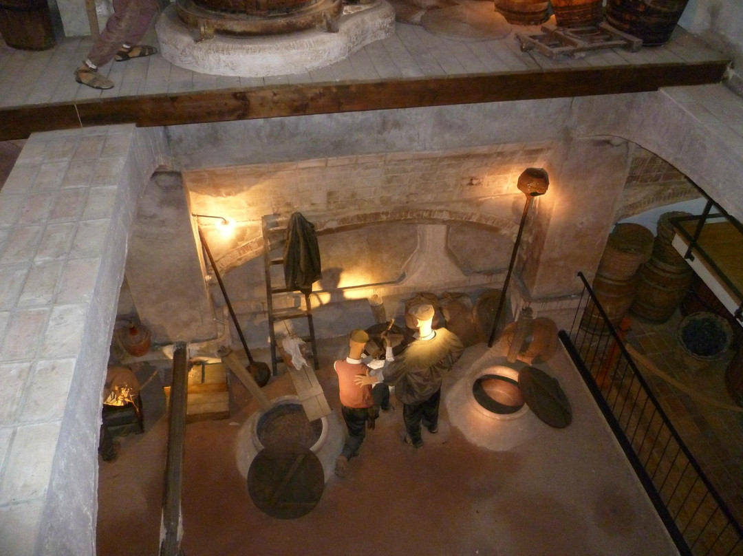 Museo del Vino-Bullas必去景点