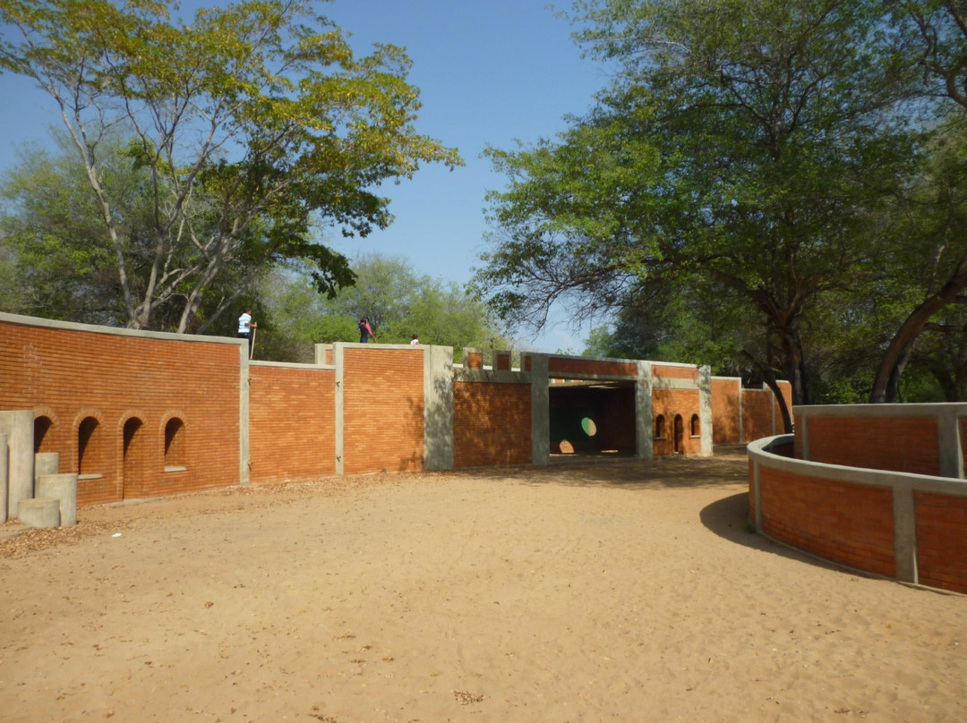 Jardin Botanico de Maracaibo景点图片