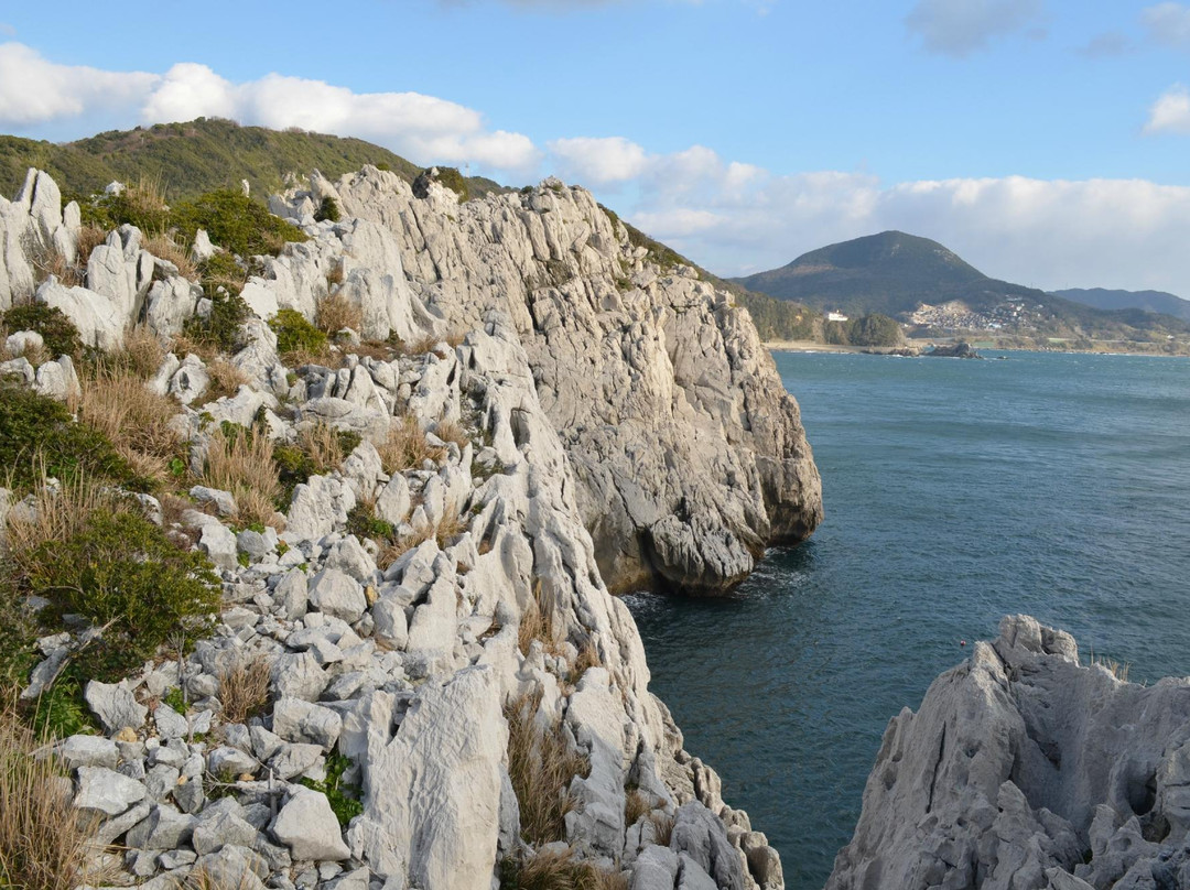 Shirasaki Ocean Park-由良町必去景点