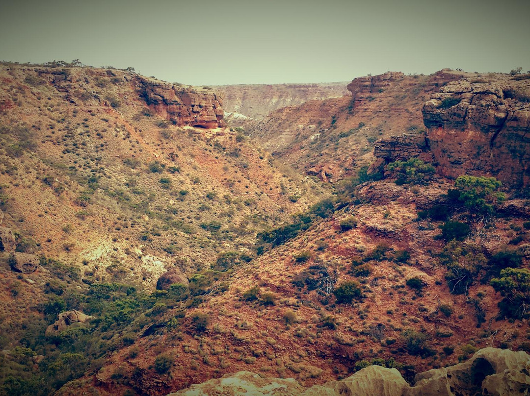 Thomas Carter Lookout Walk-埃克斯茅斯必去景点
