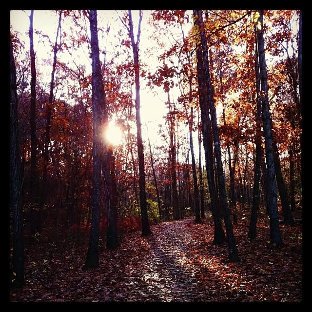 Runge Conservation Nature Center-杰佛逊市必去景点