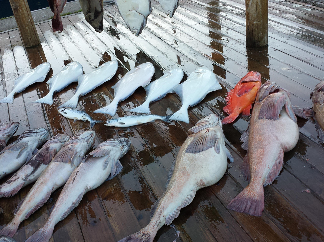 Crazy Rays Adventures-惠提尔必去景点