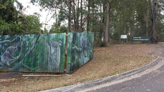 Daisy Hill Conservation Park and Koala Centre景点图片