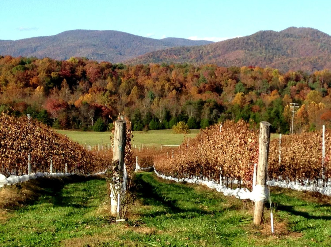 Monticello Appellation Wine Tours景点图片