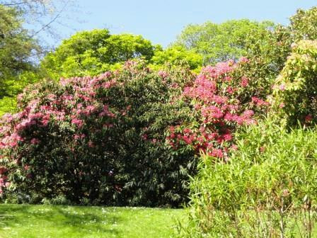 雅芳河景点图片