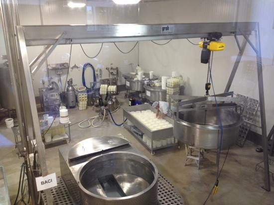 Gallo DairyLand-凯恩斯必去景点