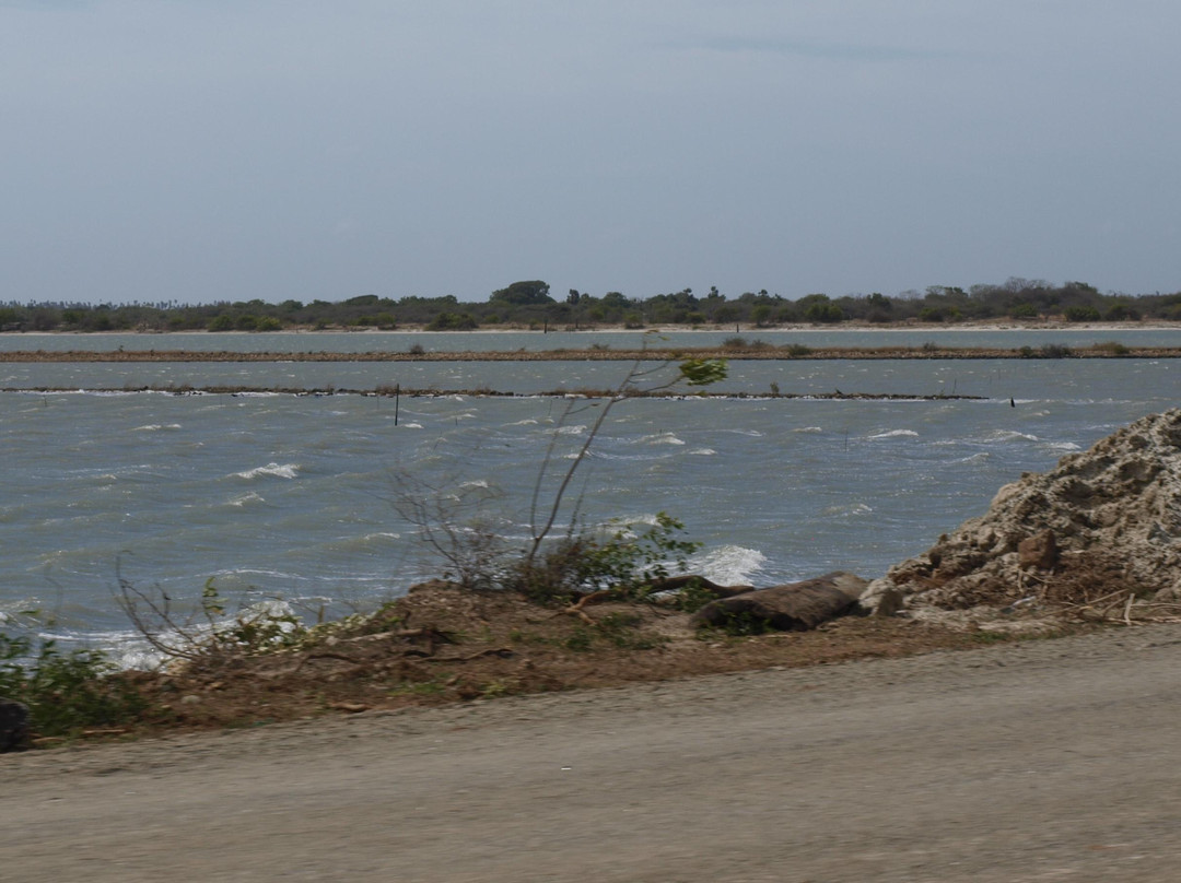 Elephant Pass-贾夫纳必去景点