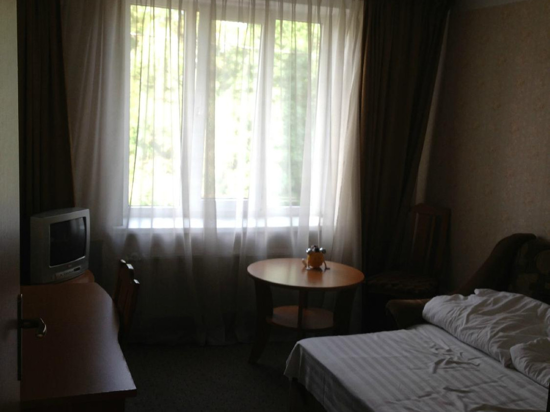 Grizins Hotel主图