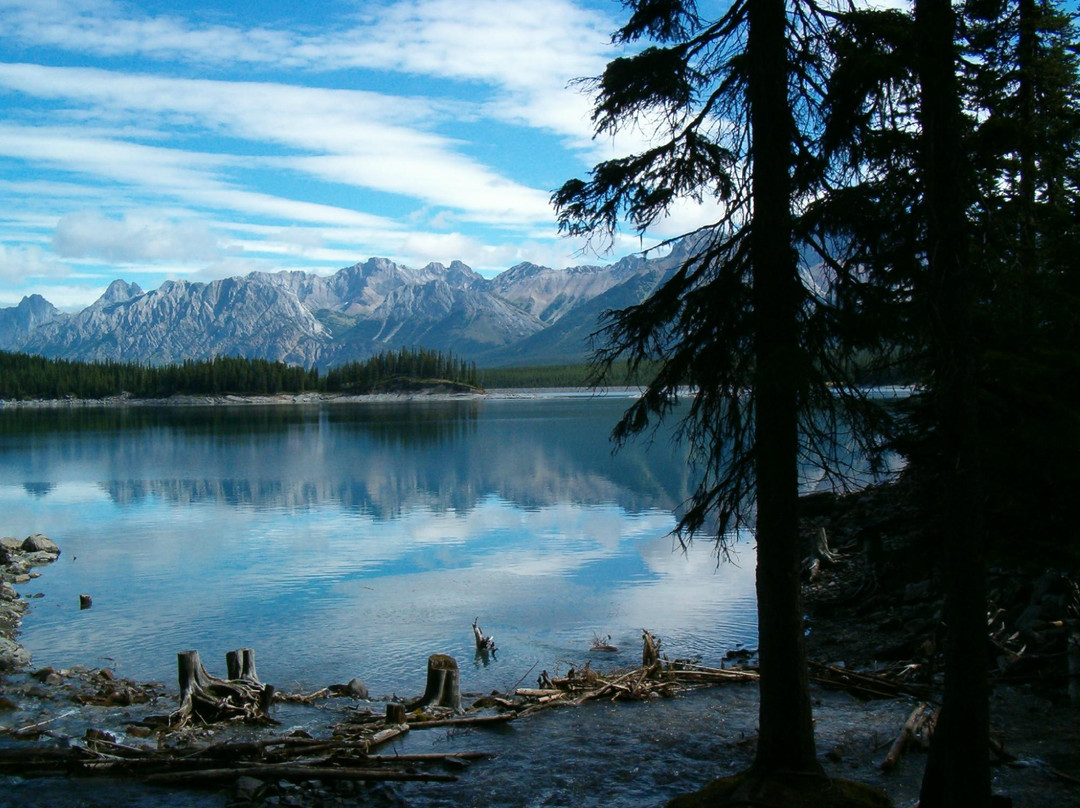 West Coast Nature Day Tours景点图片