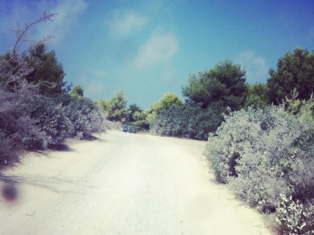 Lido Pizzo-加里波利必去景点