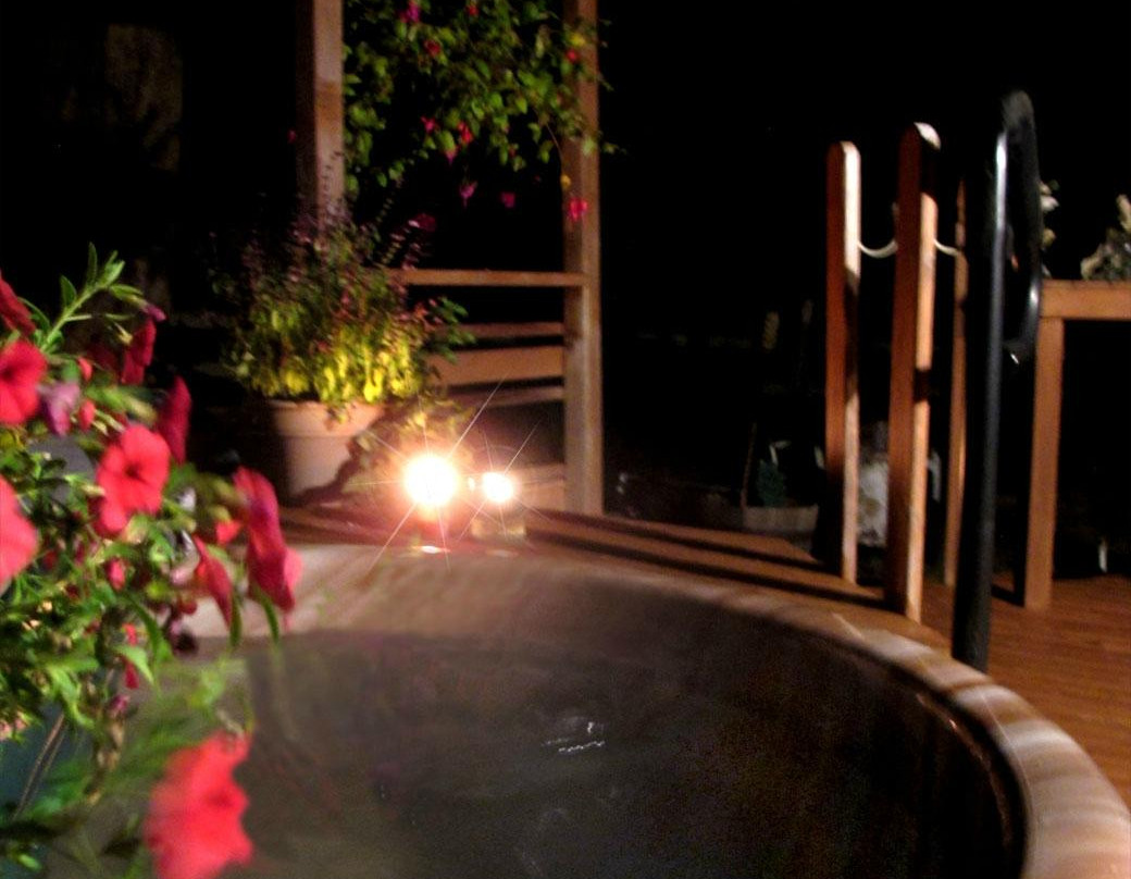 伍丁维尔酒店住宿-Aunt Louise's Secret BnB Hostel