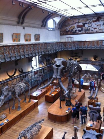 大演化厅-巴黎必去景点