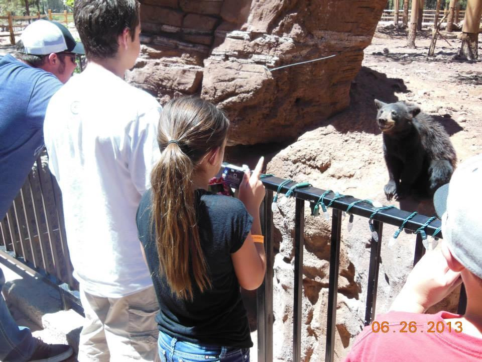 Arizona Grand Canyon Tours - Day Tour-凤凰城必去景点