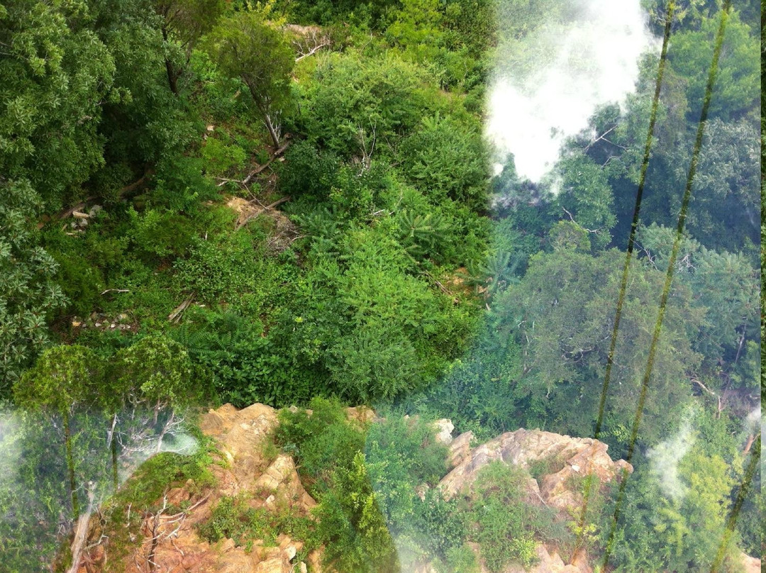 Adrenaline Park-Kodak必去景点