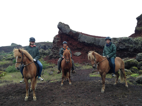 Reykjavik Riding Center-雷克雅未克必去景点