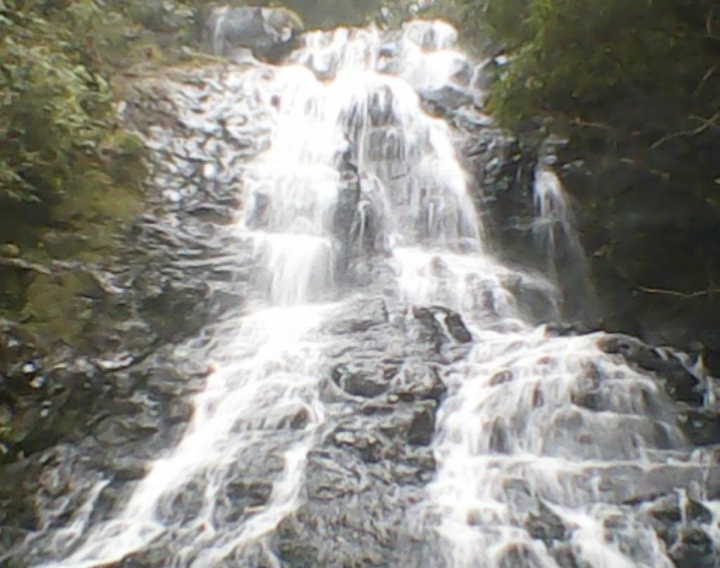 Ecoparque Sperry-卡内拉必去景点